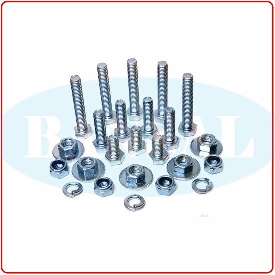 Check Nuts Manufacturer and Exporters